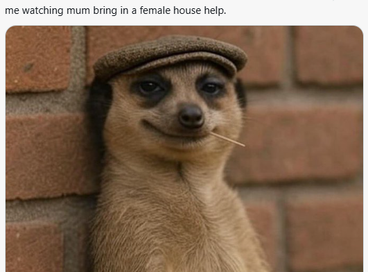 Meerkat meme 10