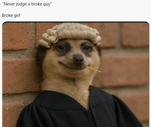 Meerkat meme 13