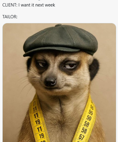 Meerkat meme 15
