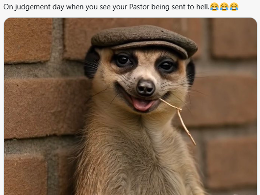 Meerkat meme 16