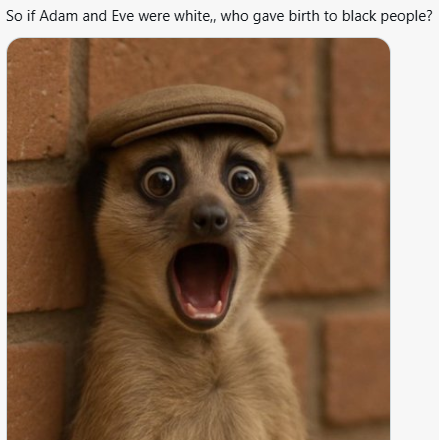 Meerkat meme 22