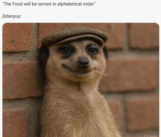 Meerkat meme 23
