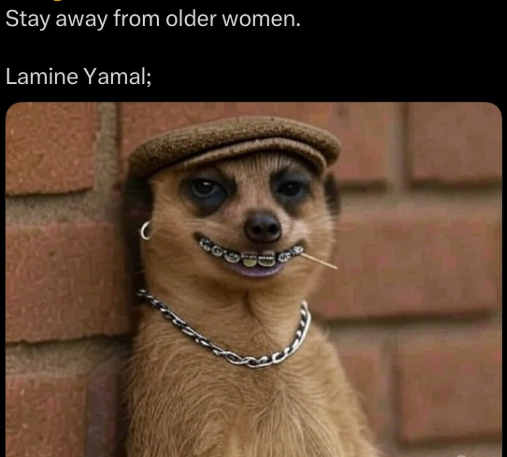 Meerkat meme 26